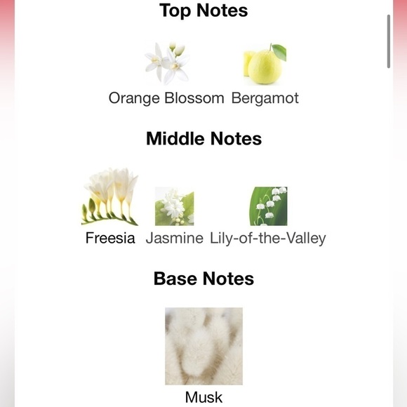 2 x Rachel Zoe Instinct samples - Picture 5 of 5